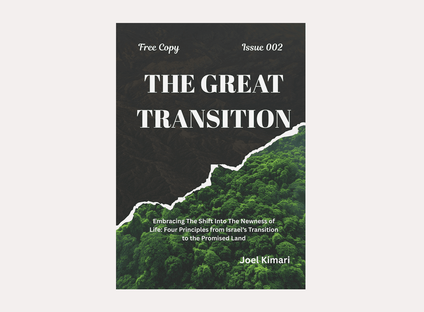 Issue 2: The Great Transition